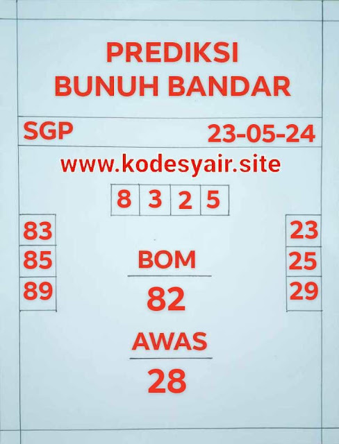 SYAIR SGP VIP